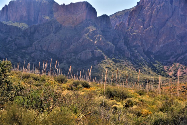 Chisos Mountains